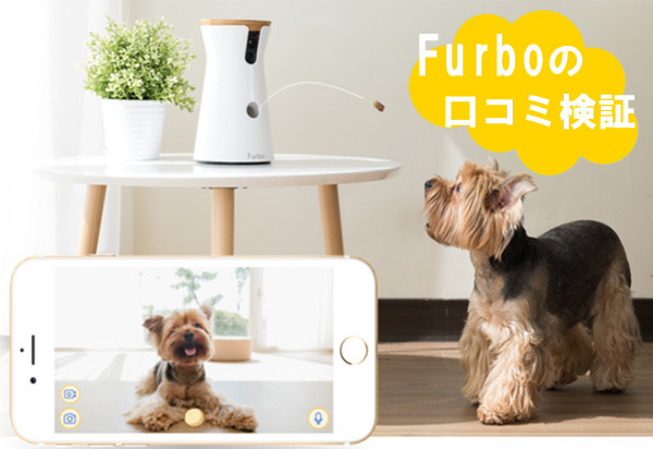 高評価レビューの口コミ 留守中の犬の姿に涙 留守中の見守りドッグカメラ Furbo ファーボ の評判 口コミ レビュー検証ブログ